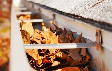 Worthy gutter cleaning companies