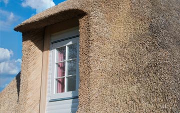 Worthy thatch roof disadvantages