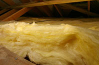 Worthy pitch roof insulation
